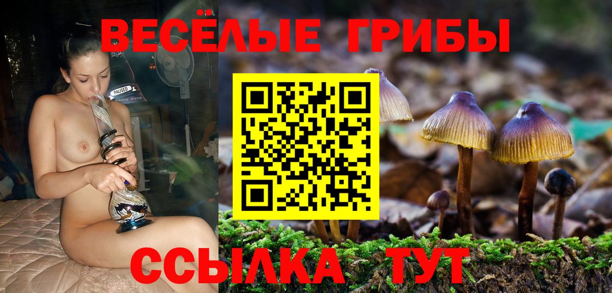 Тольятти  Псилоцибиновые грибы Magic Shrooms  Псилоцибиновые грибы Psilocybe  Вход с VPN 